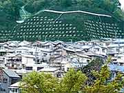 法面緑化-1