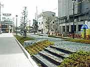 マルチ緑化-1