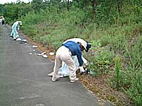 一ツ葉林野内清掃（清掃回収）